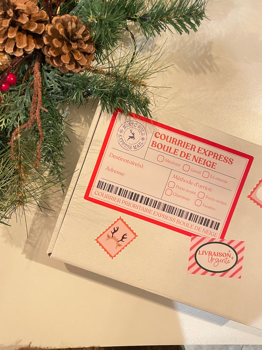 Kit Lutin de Noël – 24 Jours d’Activités (Emballé & Prêt à Utiliser)